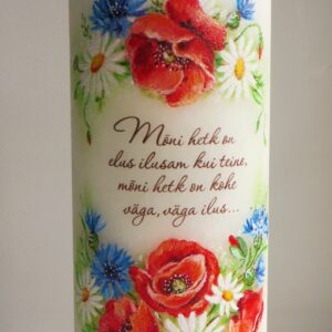 Nr16